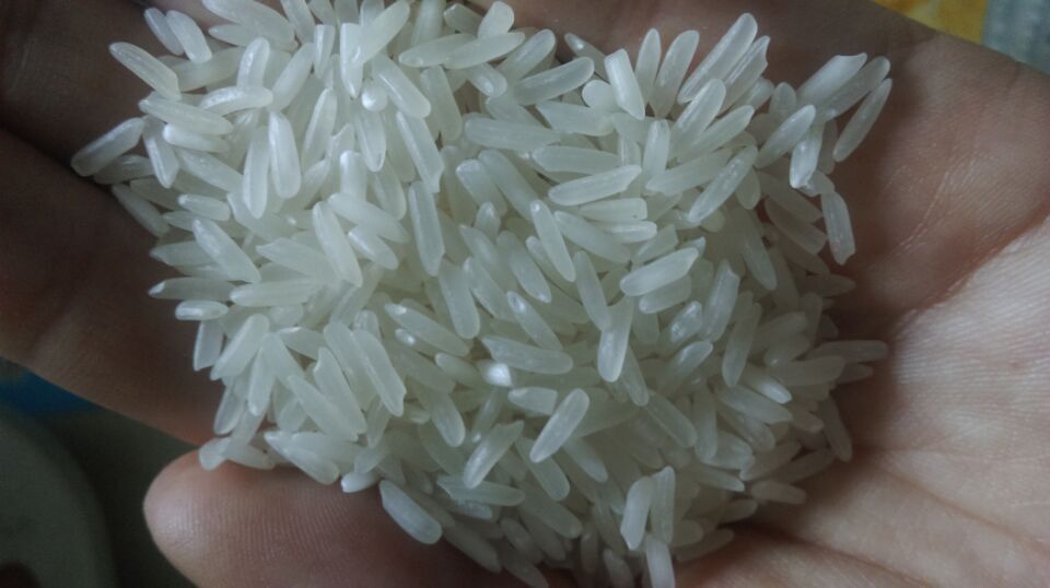 批发采购泰国长粒白米/泰国优质白米