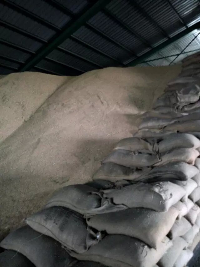 大型国企鞍山第五粮库出售5000吨乱换水稻
